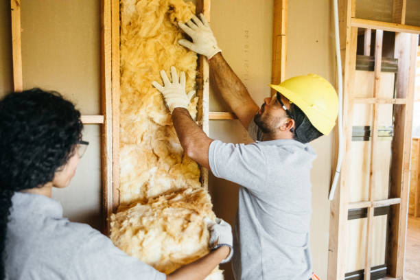 Best Home Insulation Services  in Winfield, IA