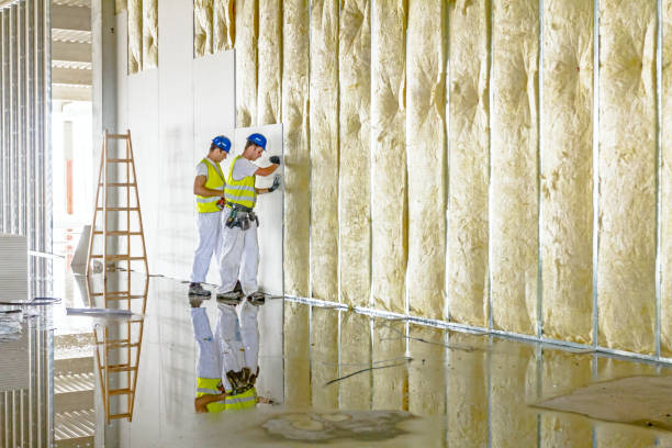 Best Residential Insulation Services  in Winfield, IA
